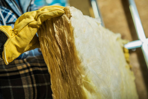 Best Eco-Friendly Insulation in Moyock, NC